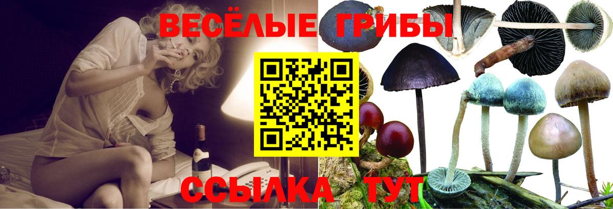 Псилоцибиновые грибы MAGIC MUSHROOMS Ярцево