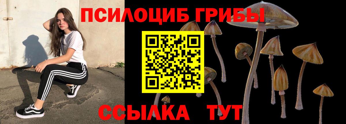 Псилоцибиновые грибы Magic Shrooms  где купить   Ярцево  Вход с VPN 